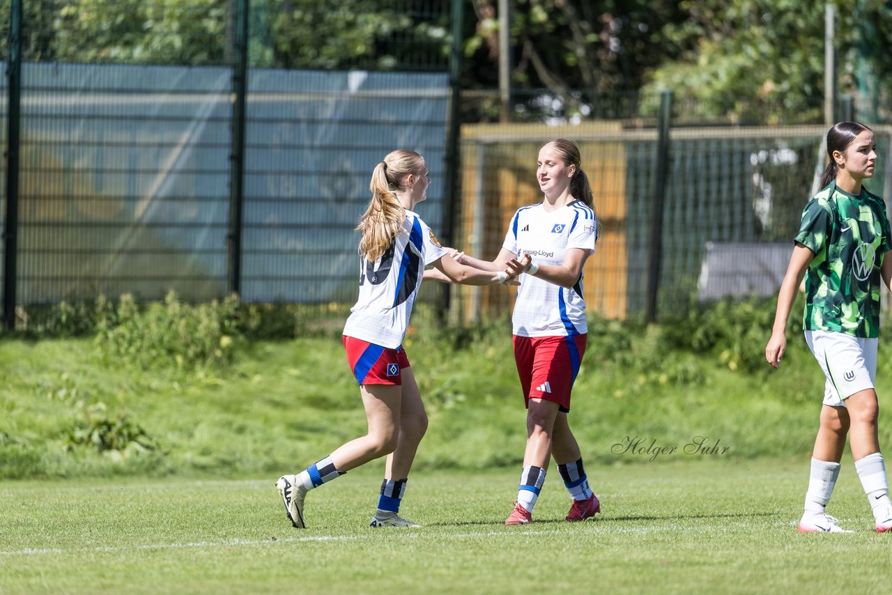 Bild 168 - wBJ Hamburger SV - VfL Wolfsburg : Ergebnis: 5:1